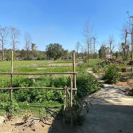 Nanu'S Bardiya Homestay Luaran gambar