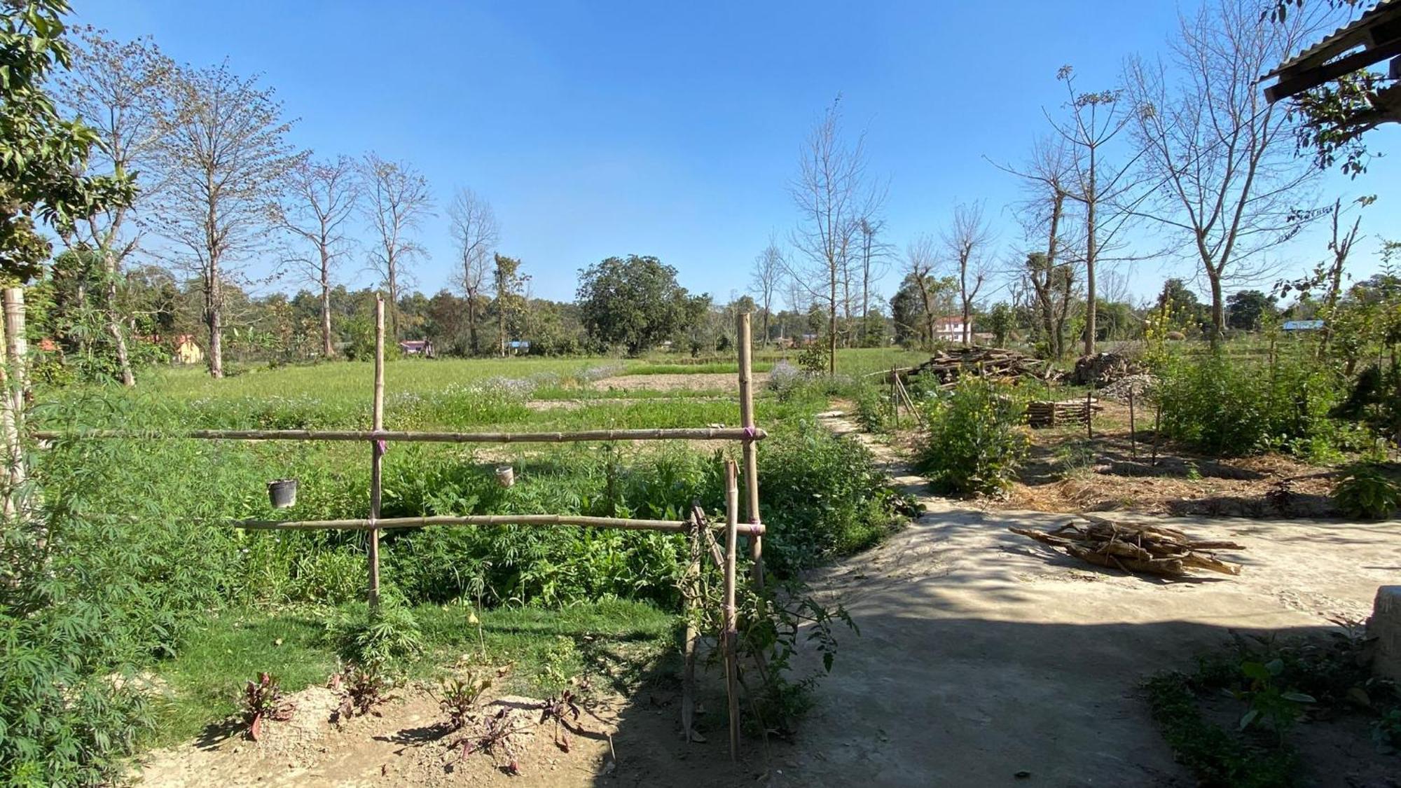 Nanu'S Bardiya Homestay Luaran gambar