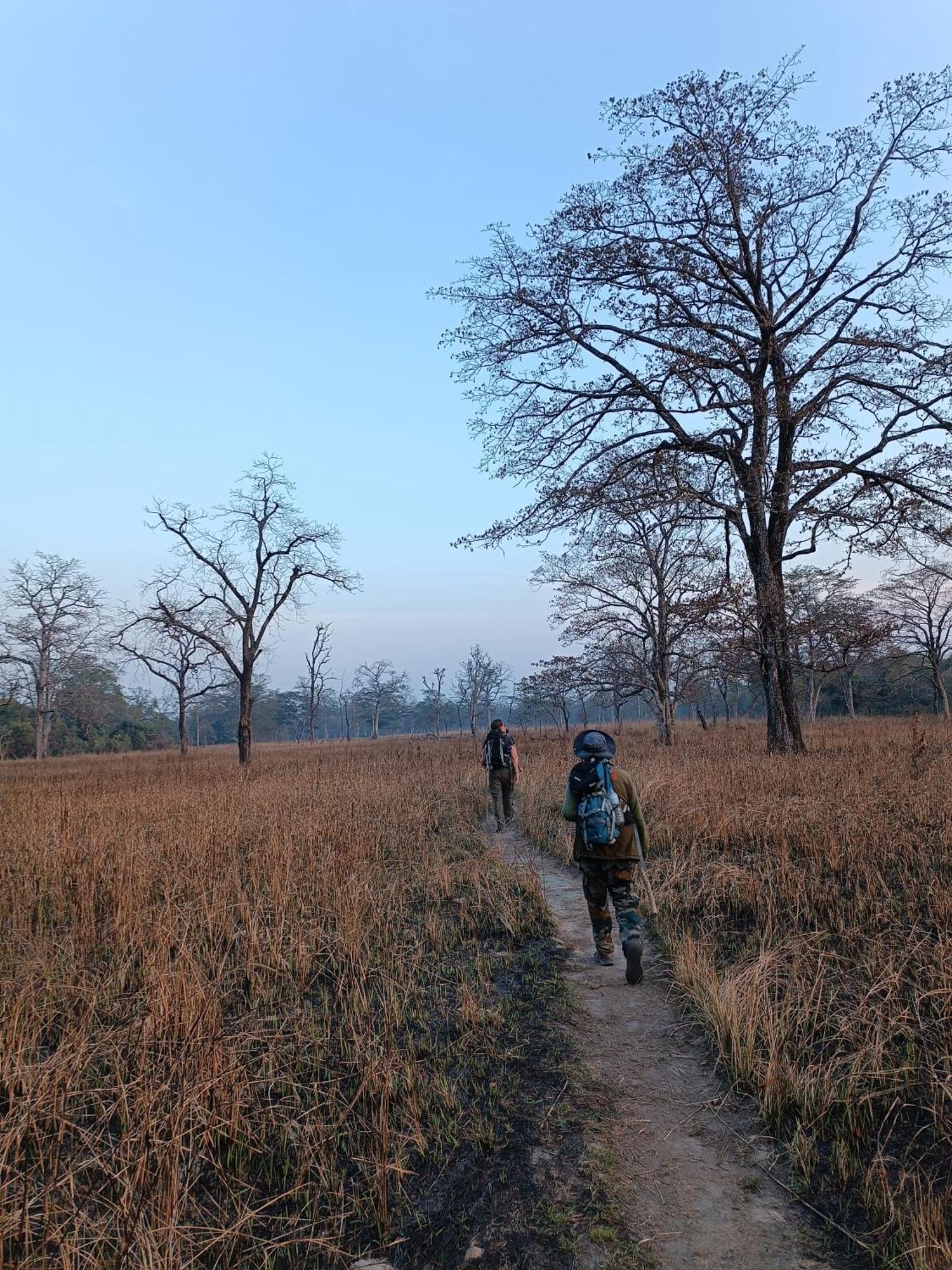 Nanu'S Bardiya Homestay Luaran gambar